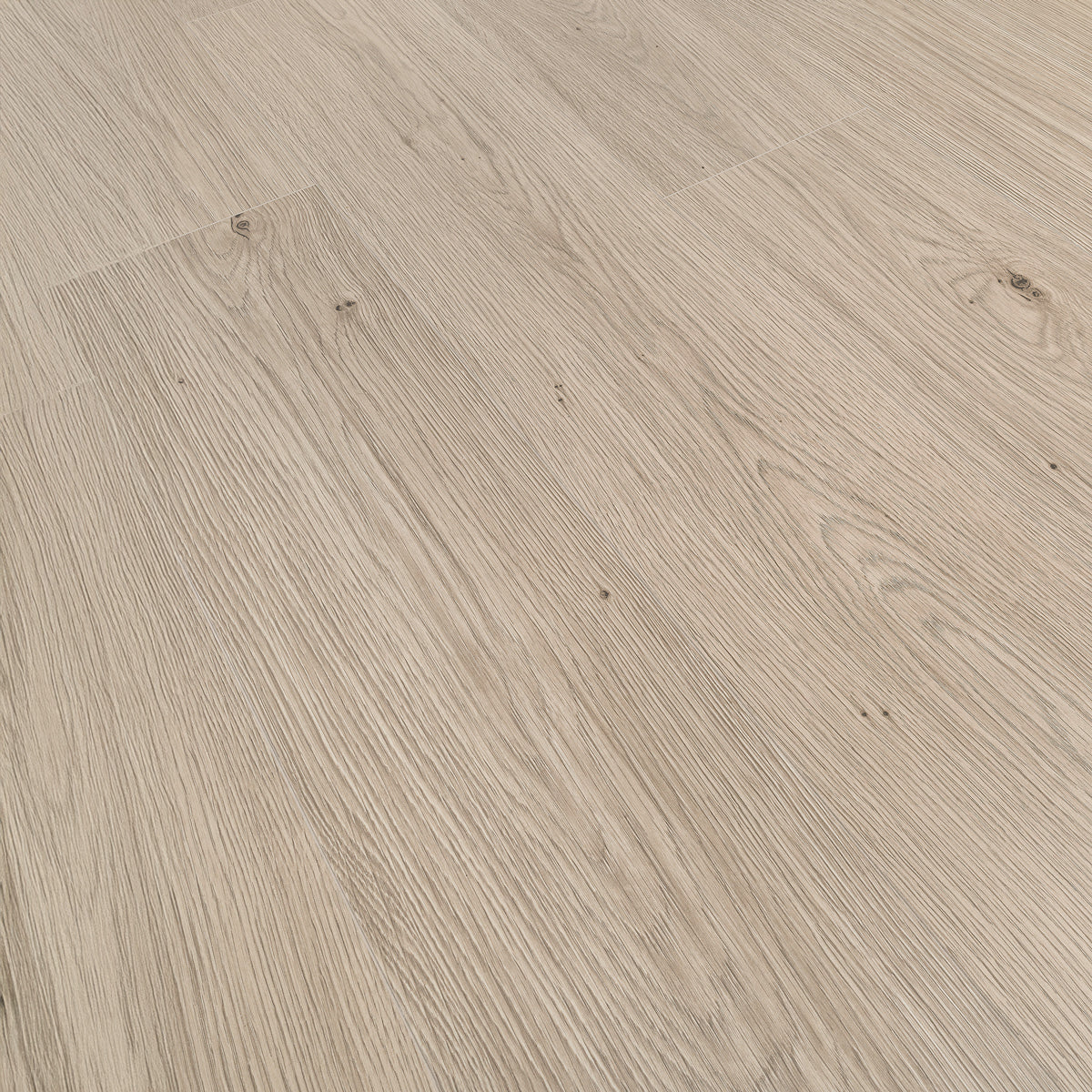 Laminatgolv Oak Camel 8 mm, 1-stav