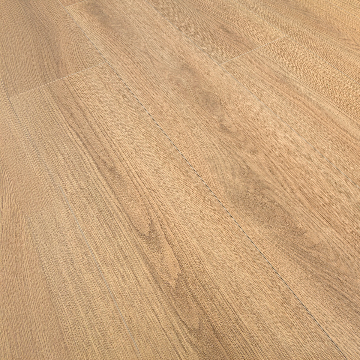 Laminatgolv Oak Sienna 8 mm, 1-stav
