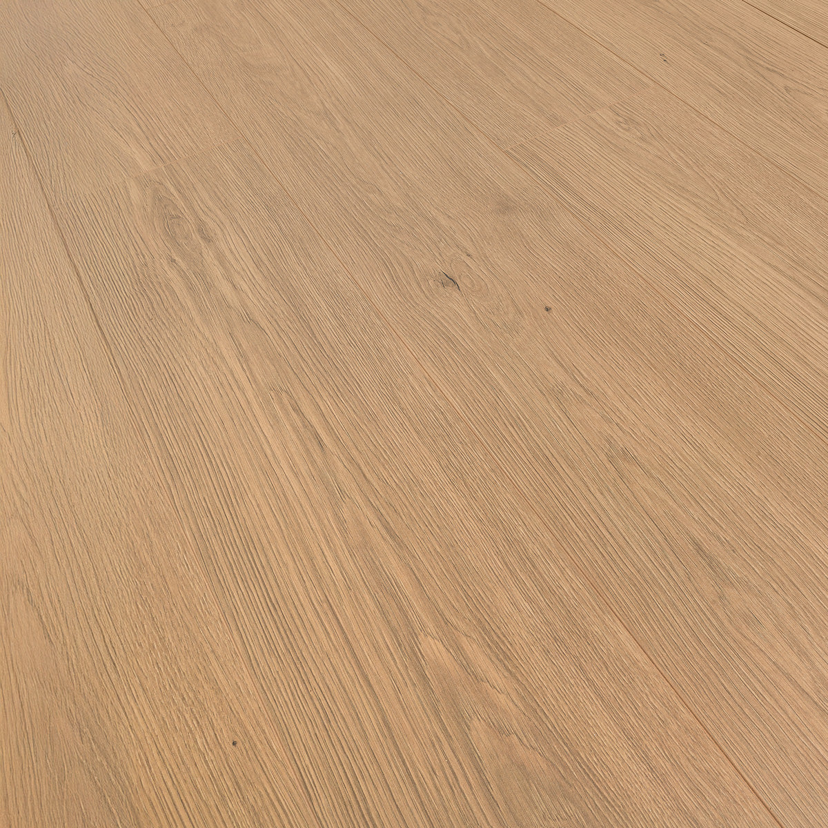 Laminatgolv Oak Toffee 8 mm, 1-stav
