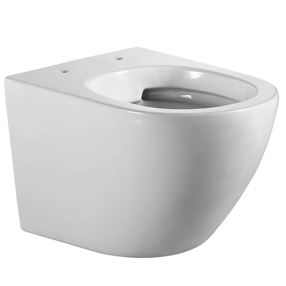 Vägghängd Toalett Tenfors Sanitario Plus Vit Blank