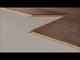 Laminatgolv Oak Camel 8 mm, 1-stav