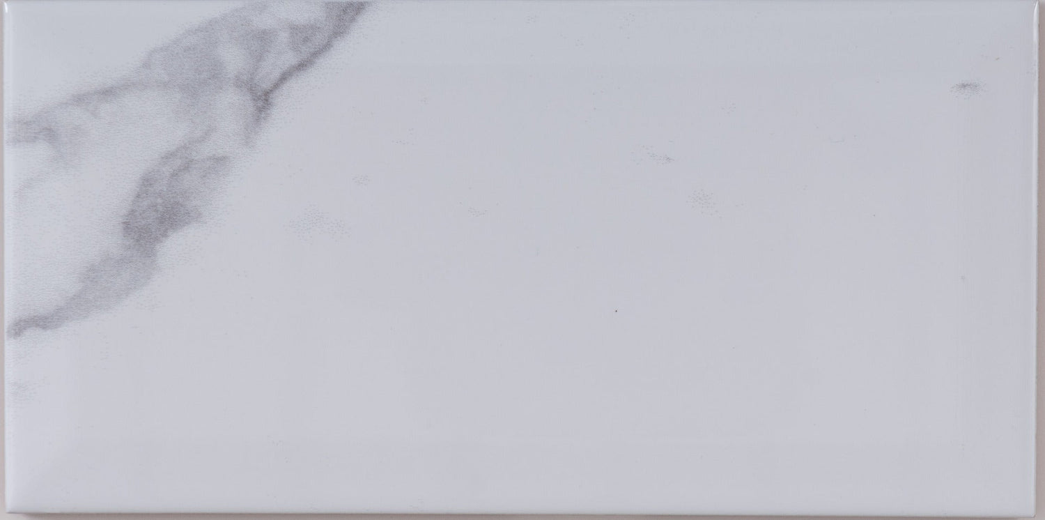 Kakel Carrara Marmor 10x20